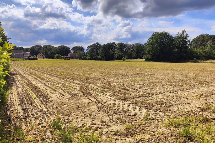 Bouwgrond te koop in LUBBEEK